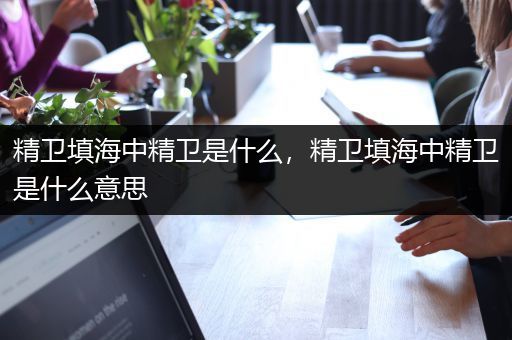 精卫填海中精卫是什么，精卫填海中精卫是什么意思